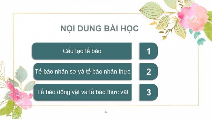 Giáo án PPT KHTN 6 kết nối Bài 19: Cấu tạo và chức năng các thành phần của tế bào