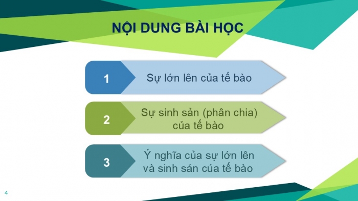 Giáo án PPT KHTN 6 kết nối Bài 20: Sự lớn lên và sinh sản của tế bào