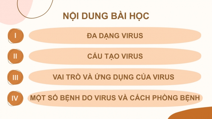 Giáo án PPT KHTN 6 kết nối Bài 29: Virus