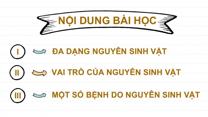 Giáo án PPT KHTN 6 kết nối Bài 30: Nguyên sinh vật