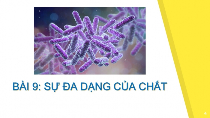 Giáo án PPT KHTN 6 kết nối Bài 9: Sự đa dạng của chất