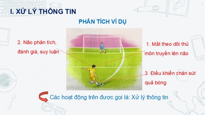 Giáo án PPT Tin học 6 kết nối Bài 2: Xử lí thông tin