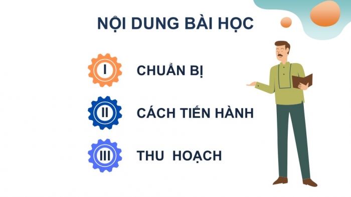 Giáo án PPT KHTN 6 kết nối Bài 37 Thực hành: Quan sát và nhận biết một số nhóm động vật ngoài thiên nhiên