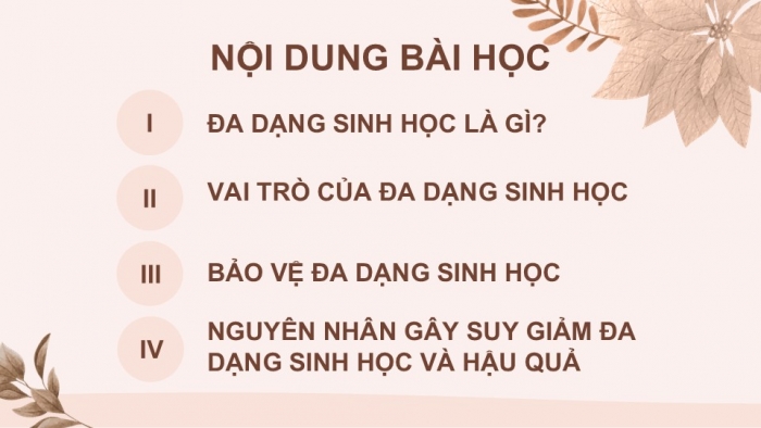 Giáo án PPT KHTN 6 kết nối Bài 38: Đa dạng sinh học