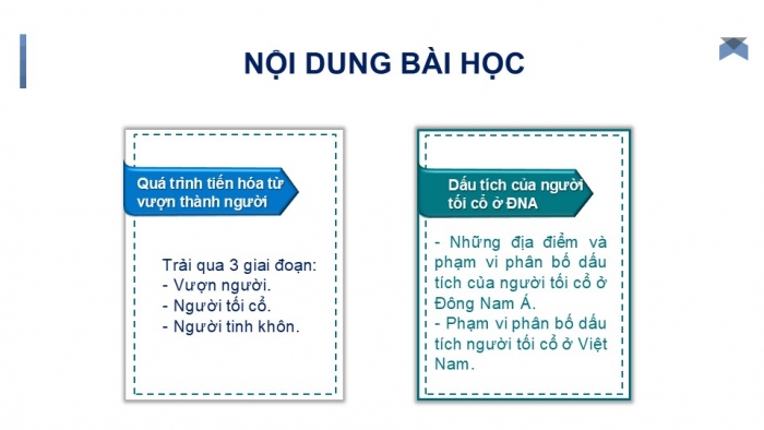 Giáo án PPT Lịch sử 6 chân trời Bài 3: Nguồn gốc loài người