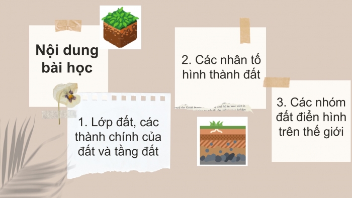 Giáo án PPT Địa lí 6 chân trời Bài 19: Lớp đất và các nhân tố hình thành đất. Một số nhóm đất điển hình