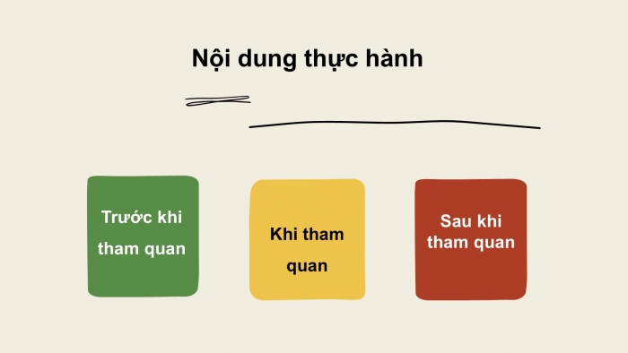 Giáo án PPT Địa lí 6 chân trời Bài 21: Thực hành tìm hiểu môi trường tự nhiên qua tài liệu và tham quan địa phương