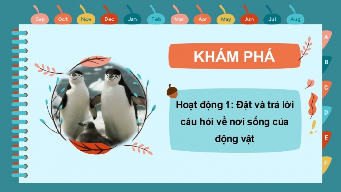 Giáo án PPT Tự nhiên và Xã hội 2 kết nối Bài 17: Động vật sống ở đâu?