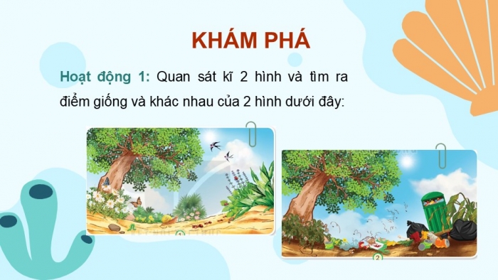 Giáo án PPT Tự nhiên và Xã hội 2 kết nối Bài 18: Cần làm gì để bảo vệ môi trường sống của thực vật và động vật?