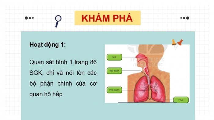 Giáo án PPT Tự nhiên và Xã hội 2 kết nối Bài 23: Tìm hiểu cơ quan hô hấp