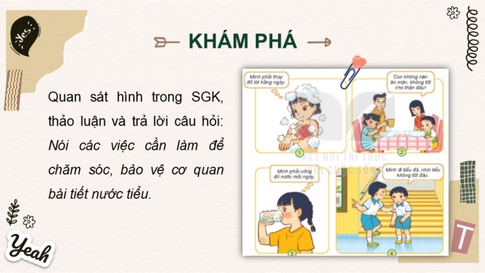 Giáo án PPT Tự nhiên và Xã hội 2 kết nối Bài 26: Chăm sóc, bảo vệ cơ quan bài tiết nước tiểu