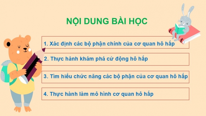 Giáo án PPT Tự nhiên và Xã hội 2 cánh diều Bài 16: Cơ quan hô hấp