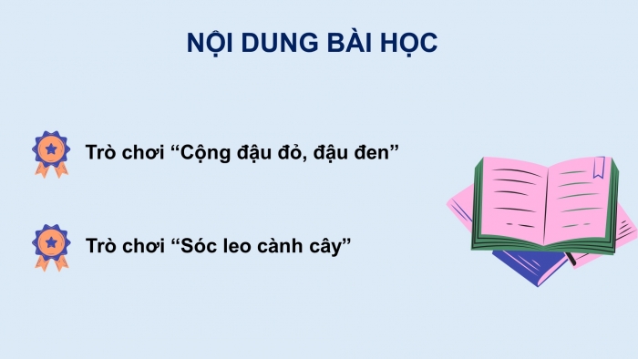 Giáo án PPT Toán 6 chân trời Bài 5 Hoạt động thực hành và trải nghiệm: Vui học cùng số nguyên