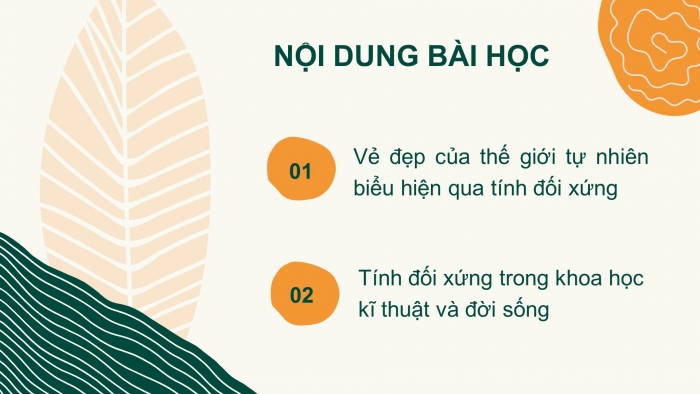 Giáo án PPT Toán 6 chân trời Bài 3: Vai trò của tính đối xứng trong thế giới tự nhiên