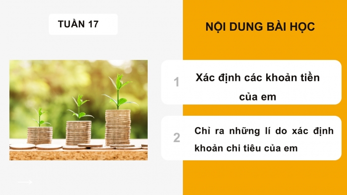 Giáo án PPT HĐTN 6 chân trời Chủ đề 5 Tuần 17