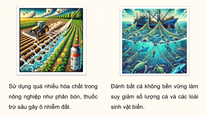 Giáo án điện tử Hoạt động trải nghiệm 12 cánh diều Chủ đề 6: Bảo vệ cảnh quan thiên nhiên và sự đa dạng sinh học (P1)