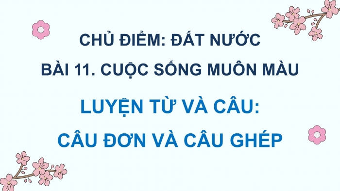 Giáo án điện tử Tiếng Việt 5 cánh diều Bài 11: Câu đơn và câu ghép