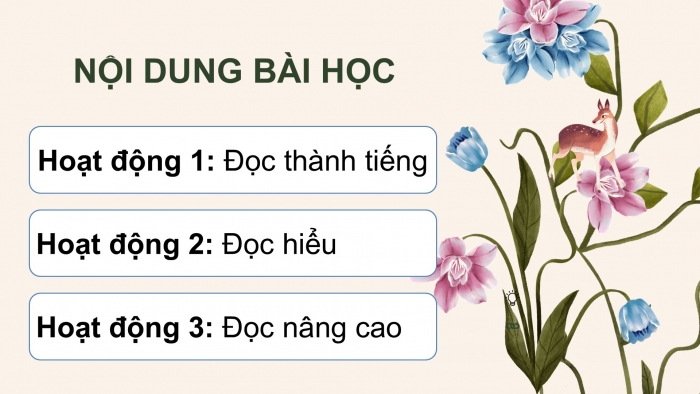 Giáo án điện tử Tiếng Việt 5 cánh diều Bài 13: Hoa trạng nguyên