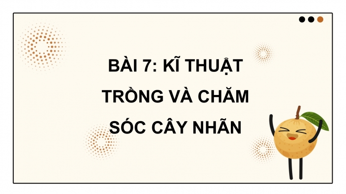 Giáo án điện tử Công nghệ 9 Trồng cây ăn quả Cánh diều Bài 7: Kĩ thuật trồng và chăm sóc cây nhãn