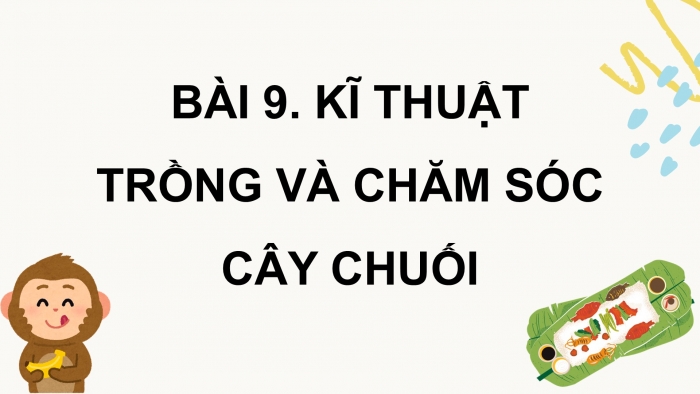 Giáo án điện tử Công nghệ 9 Trồng cây ăn quả Cánh diều Bài 9: Kĩ thuật trồng và chăm sóc cây chuối