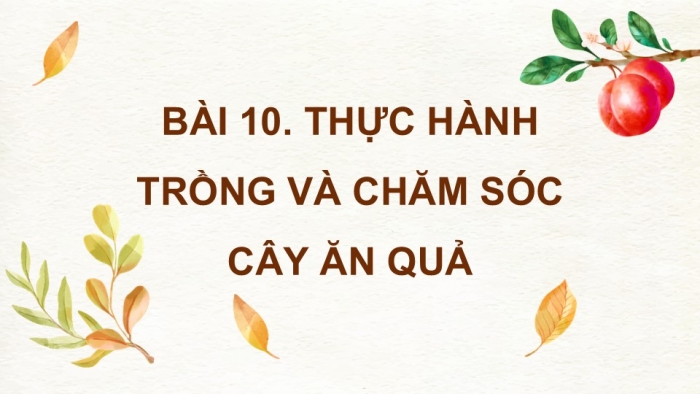 Giáo án điện tử Công nghệ 9 Trồng cây ăn quả Cánh diều Bài 10: Thực hành trồng và chăm sóc cây ăn quả