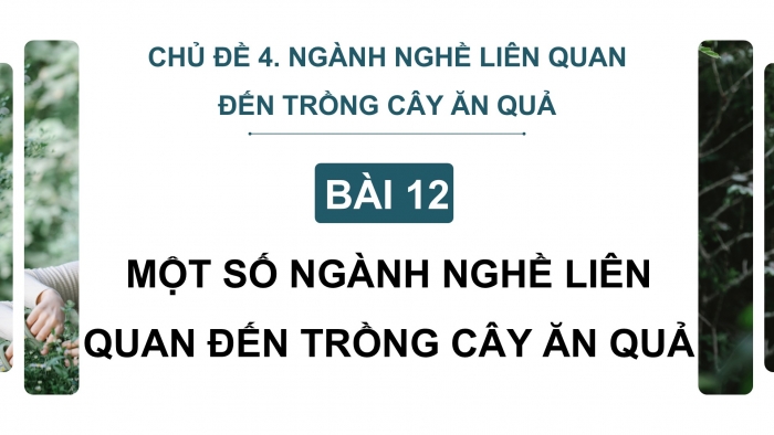 Giáo án điện tử Công nghệ 9 Trồng cây ăn quả Cánh diều Bài 12: Một số ngành nghề liên quan đến trồng cây ăn quả