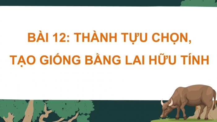 Giáo án điện tử Sinh học 12 cánh diều Bài 12: Thành tựu chọn, tạo giống bằng lai hữu tính