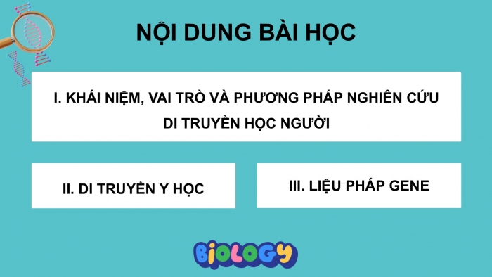 Giáo án điện tử Sinh học 12 cánh diều Bài 14: Di truyền học người