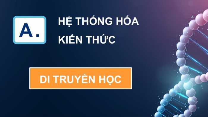 Giáo án điện tử Sinh học 12 cánh diều Bài Ôn tập Phần 5