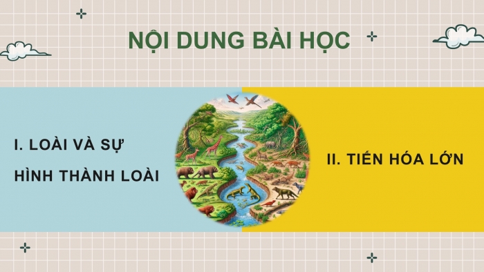 Giáo án điện tử Sinh học 12 cánh diều Bài 18: Thuyết tiến hoá tổng hợp hiện đại (Phần 2)