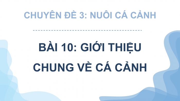 Giáo án điện tử chuyên đề Công nghệ 12 Lâm nghiệp Thuỷ sản Kết nối Bài 10: Giới thiệu chung về cá cảnh