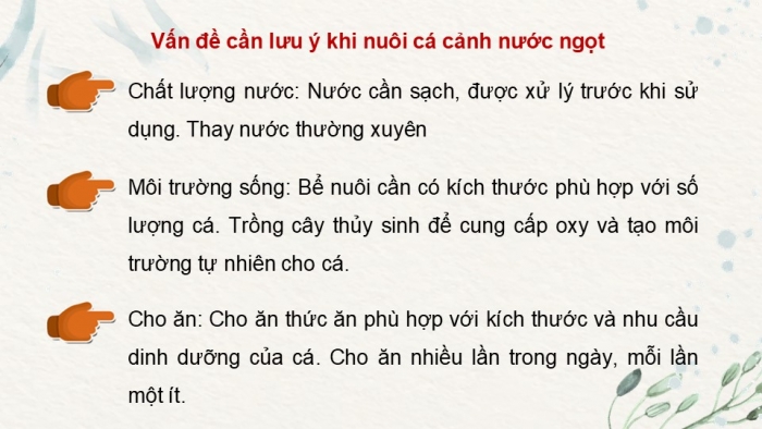 Giáo án điện tử chuyên đề Công nghệ 12 Lâm nghiệp Thuỷ sản Kết nối Bài 11: Nuôi dưỡng và chăm sóc cá cảnh nước ngọt