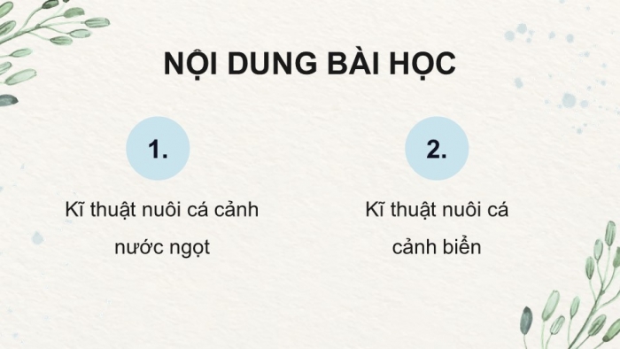 Giáo án điện tử chuyên đề Công nghệ 12 Lâm nghiệp Thuỷ sản Cánh diều Bài 10: Kĩ thuật nuôi dưỡng, chăm sóc một số loại cá cảnh phổ biến