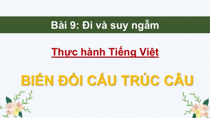 Giáo án điện tử Ngữ văn 9 kết nối Bài 9: Thực hành tiếng Việt (1)