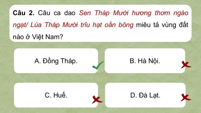 Giáo án điện tử Ngữ văn 9 kết nối Bài 9: Văn hóa hoa – cây cảnh (Trần Quốc Vượng)