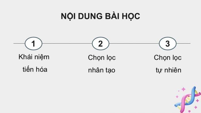 Giáo án điện tử KHTN 9 kết nối - Phân môn Sinh học Bài 49: Khái niệm tiến hóa và các hình thức chọn lọc