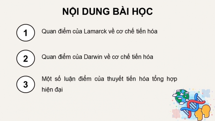 Giáo án điện tử KHTN 9 kết nối - Phân môn Sinh học Bài 50: Cơ chế tiến hóa