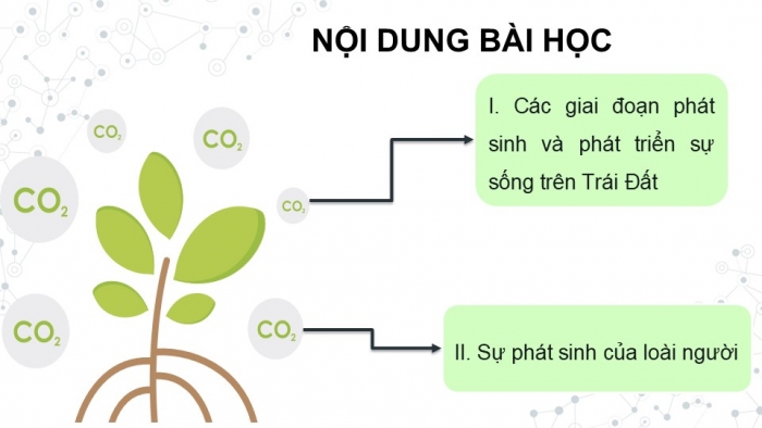 Giáo án điện tử KHTN 9 kết nối - Phân môn Sinh học Bài 51: Sự phát sinh và phát triển sự sống trên Trái Đất