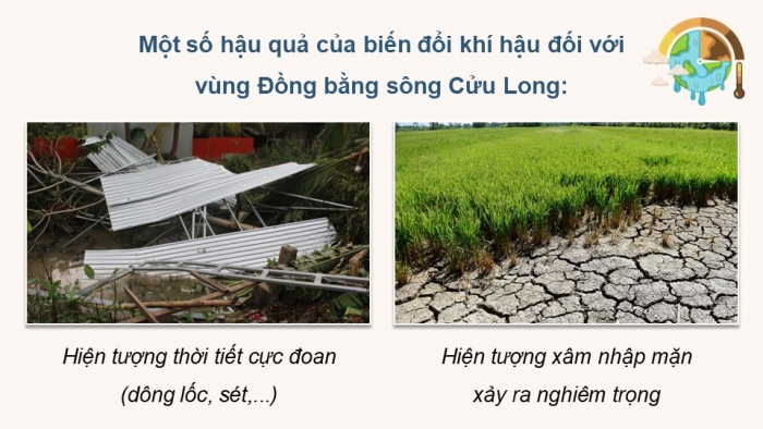 Giáo án điện tử Địa lí 12 kết nối Bài 31: Thực hành Viết báo cáo về biến đổi khí hậu ở Đồng bằng sông Cửu Long