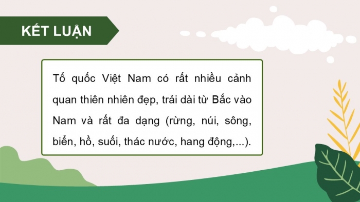 Giáo án điện tử Hoạt động trải nghiệm 12 kết nối Chủ đề 6 Tuần 1