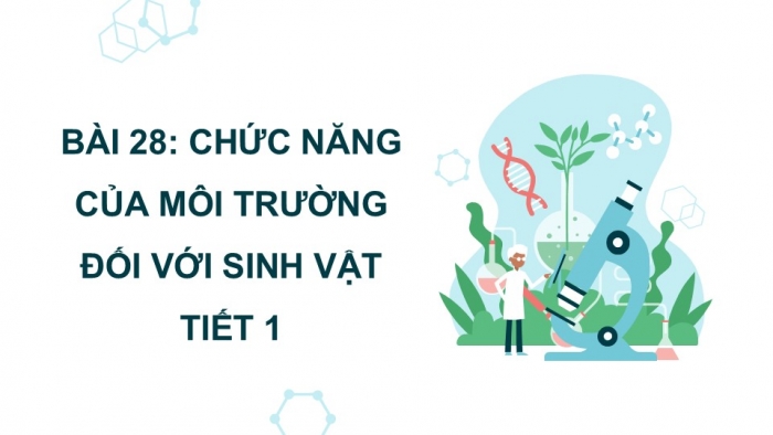 Giáo án điện tử Khoa học 5 kết nối Bài 28: Chức năng của môi trường đối với sinh vật