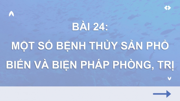 Giáo án điện tử Công nghệ 12 Lâm nghiệp - Thủy sản Kết nối Bài 24: Một số bệnh thủy sản phổ biến và biện pháp phòng, trị