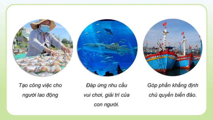 Giáo án điện tử Công nghệ 12 Lâm nghiệp - Thủy sản Kết nối Bài 26: Bảo vệ nguồn lợi thủy sản