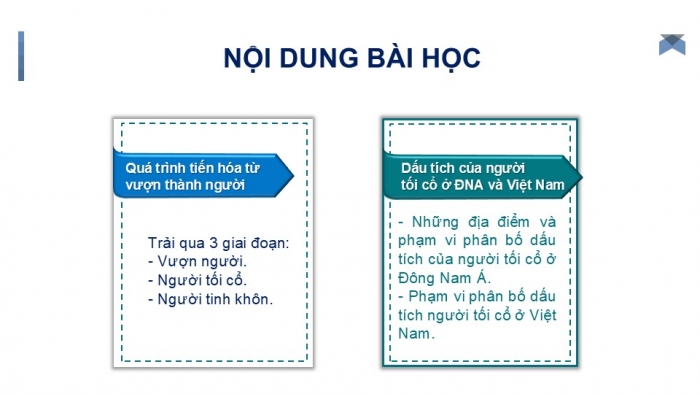 Giáo án PPT Lịch sử 6 kết nối Bài 4: Nguồn gốc loài người