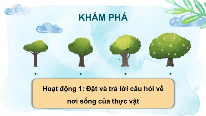 Giáo án PPT Tự nhiên và Xã hội 2 chân trời Bài 14: Thực vật sống ở đâu?