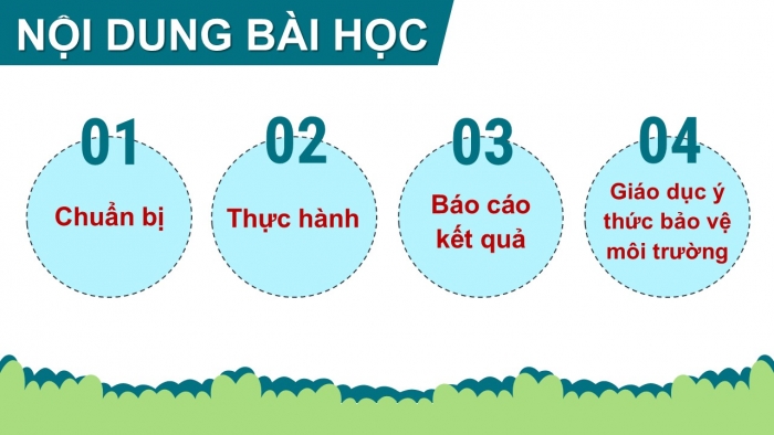 Giáo án PPT Tự nhiên và Xã hội 2 chân trời Bài 17: Thực hành tìm hiểu môi trường sống của thực vật và động vật