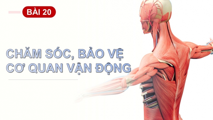 Giáo án PPT Tự nhiên và Xã hội 2 chân trời Bài 20: Chăm sóc, bảo vệ cơ quan vận động