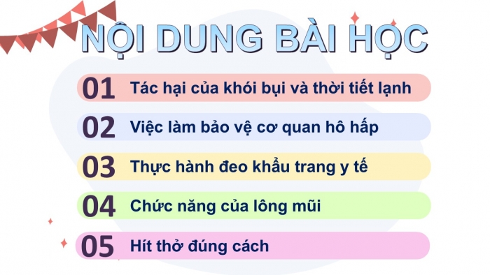 Giáo án PPT Tự nhiên và Xã hội 2 chân trời Bài 22: Chăm sóc, bảo vệ cơ quan hô hấp