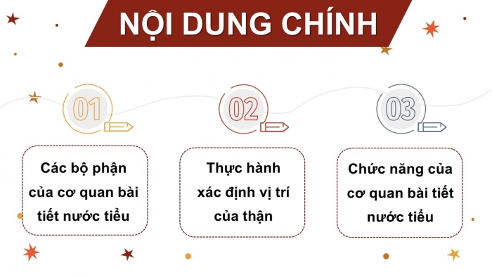 Giáo án PPT Tự nhiên và Xã hội 2 chân trời Bài 23: Cơ quan bài tiết nước tiểu