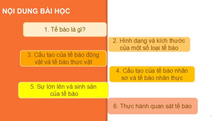 Giáo án PPT KHTN 6 cánh diều Bài 12: Tế bào – đơn vị cơ sở của sự sống